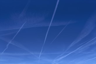 Vapor trails in blue sky