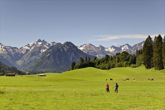 View from the meadows near the village Reichenbach to the mountain panorama of the Allgaeu Alps