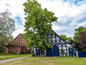 Half-timbered house in the Rundlingsdorf Guehlitz. The village is one of the 19 Rundling villages that have applied to become a UNESCO World Heritage Site. Guehlitz