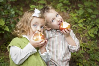 Adorable brother and sister children eating big red apples outside