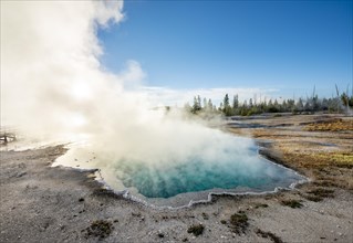 Steaming hot spring with turquoise water in the morning sun