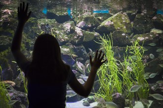 Amazed young girl standing up against large aquarium observation glass