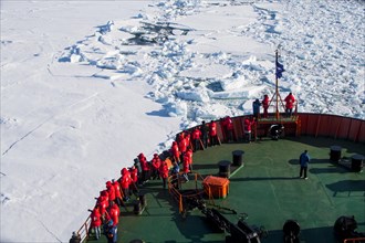 Tourists on a ice breaker watching a Polar bear (Ursus maritimus) in the high arctic near the North Pole