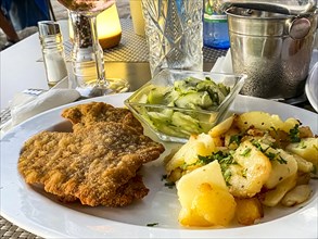 Original Viennese veal escalope with fried potatoes and cucumber salad