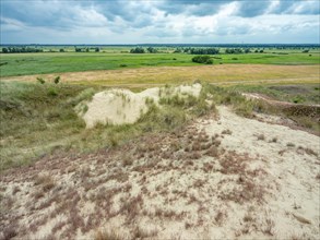 Dry sandy grassland in the Binnenduenen nature reserve near Klein Schmoelen