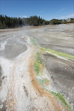 Red mineral deposits and green algae at a thermal spring