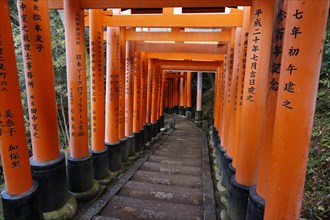 Famous torii gates on the path to Fushimi Inari Taisha shrine on Mount Inari in Kyoto