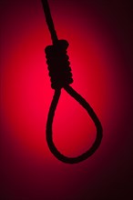 Silhouetted hangman's noose over red spot lit background