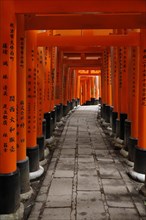 Famous torii gates on the path to Fushimi Inari Taisha shrine on Mount Inari in Kyoto