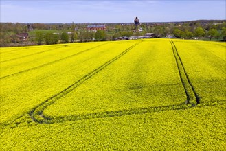Drone image of rapeseed field