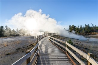 Boardwalk between steaming hot springs
