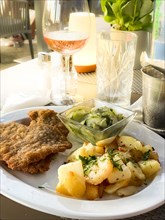 Original Viennese veal escalope with fried potatoes and cucumber salad