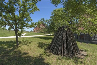 Tent-like arranged wooden poles
