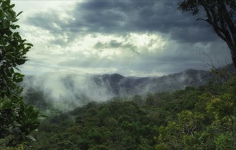 Ranomafana National Park in fog/haze