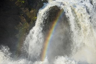 Rainbow in the Murchison Falls
