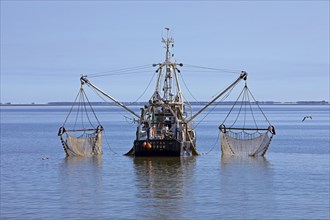 Crab cutter in the North Sea off Buesum
