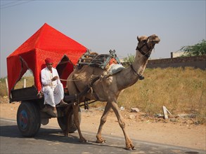 Camel cart