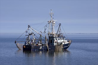 Crab cutter in the North Sea off Buesum