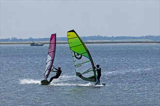 Windsurfer