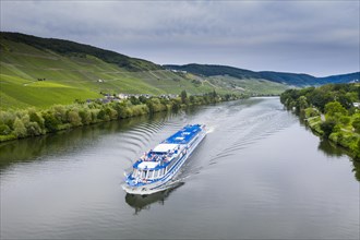 Cruise ship on the Moselle near Bernkastel Kues