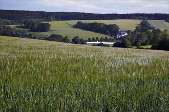 View over field to Moedlareuth