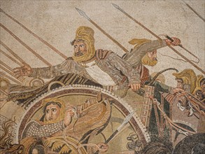 Battle of Alexander