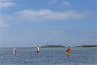 Windsurfer