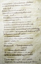 Library catalogue of the monastery of St. Gall