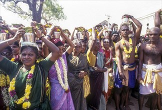 Women devotees carrying vessel of milk pot to Palani temple on Thai Poosam day