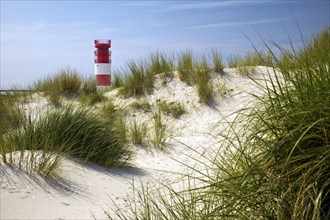 Dune landscape with the lighthouse at the south beach of the island Duene