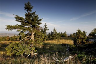 View of the Harz Mountains from the top of the Brocken