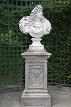 Bust of Louis the XIV vo