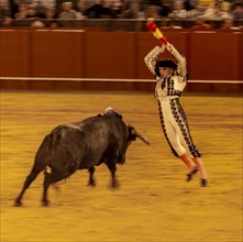 Banderillero with bull