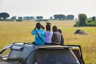 Young african children are lion spotting while sitting on the roof of a car