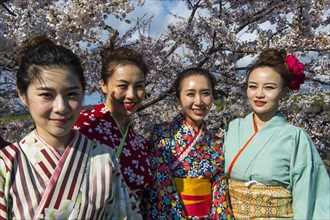 Women dressed as Geishas standing in the blooming cherry trees
