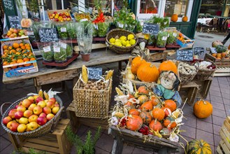 The Vienna Naschmarkt