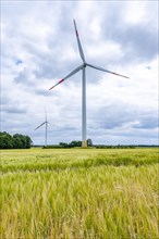 Wind turbines in Westerholz