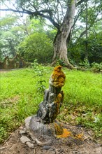 Voodoo scultpures in the Unesco site Osun-Osogbo Sacred Grove