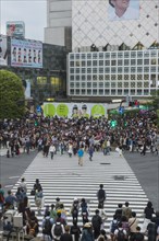 Shibuya crossing busiest road crossing in the world