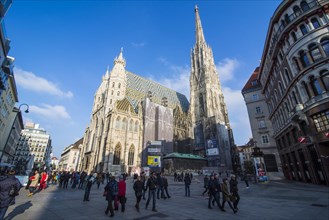 The Stephansdom in Vienna