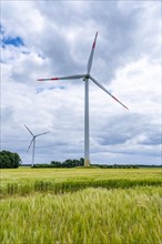 Wind turbines in Westerholz