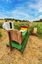 Colourful wooden bed on straw in a field