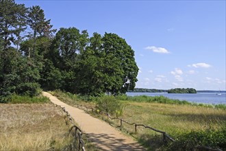 Hiking trail on the Peacock Island with view of the Havel and the island Kaelberwerder