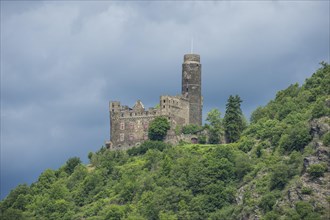 Castle Maus overlooking the Rhine river