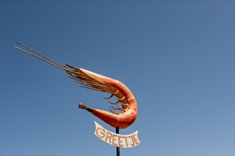 North Sea shrimp Greetje at the harbour of Greetsiel