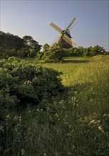 Landscape with windmill of the construction type Kellerhollaender