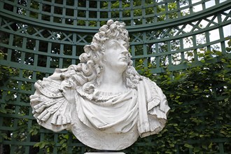 Bust of Louis the XIV vo