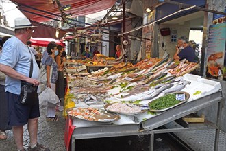 Large selection of fish and seafood