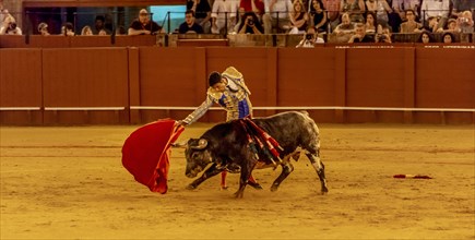 Matador with muleta and espada with running bull