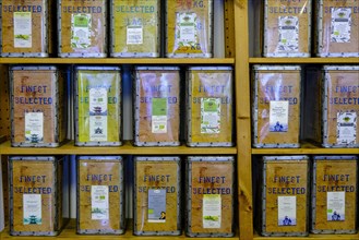 Various teas in tins on shelf